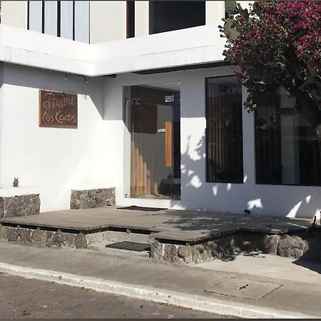 Hostel Cactus Puerto Baquerizo Moreno Zewnętrze zdjęcie