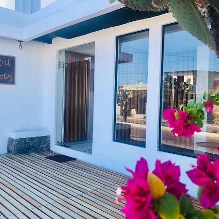 Hostel Cactus Puerto Baquerizo Moreno Zewnętrze zdjęcie