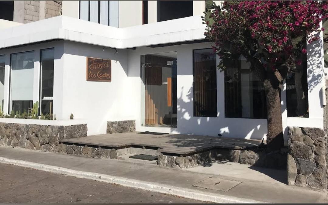 Hostel Cactus Puerto Baquerizo Moreno Zewnętrze zdjęcie
